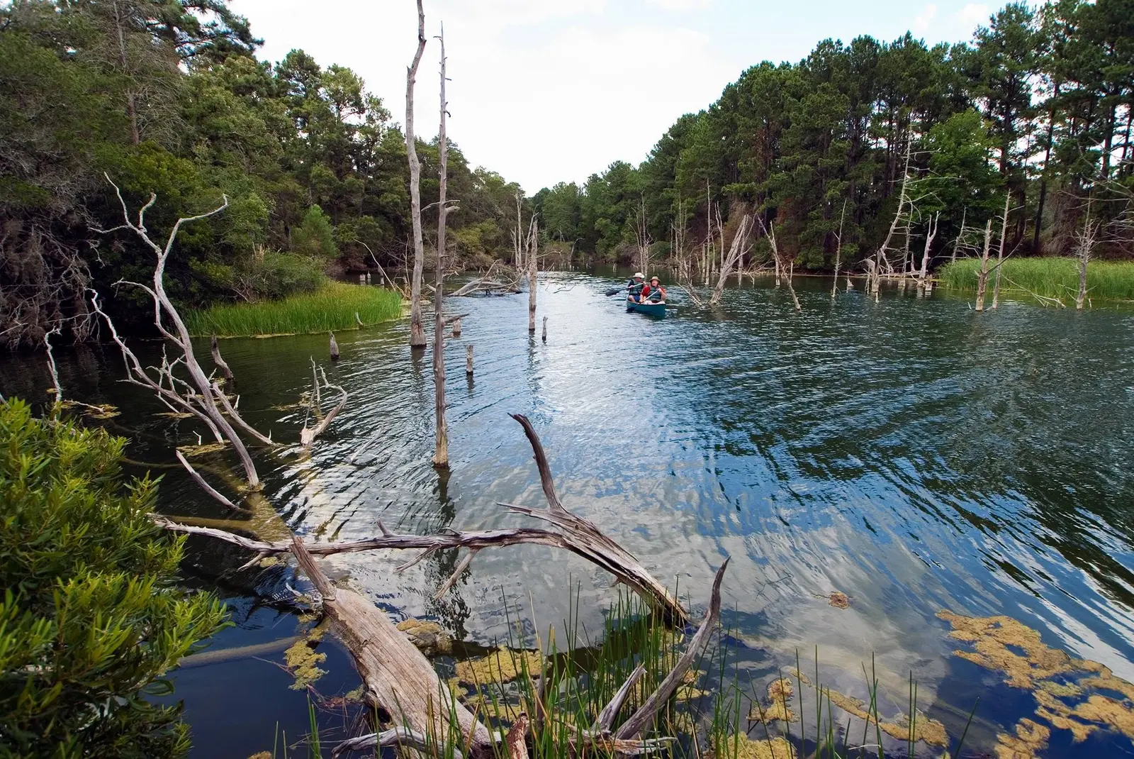 Lake Bastrop North Shore Park